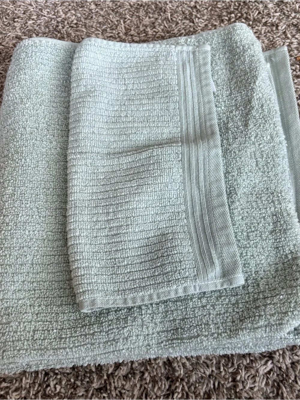 The Company Store Sage Green Plush Bath Towels - Soft Textured Set